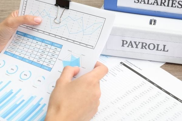 Payroll Audit